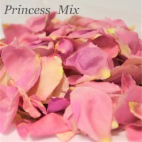 20 x Guest Confetti Bags and 20 cups Freeze Dried Rose Petals